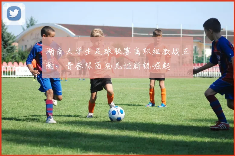 湖南大学生足球联赛高职组激战正酣,青春绿茵场见证新锐崛起
