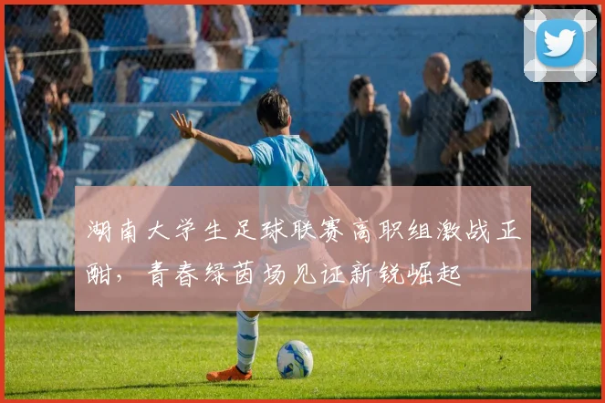 湖南大学生足球联赛高职组激战正酣,青春绿茵场见证新锐崛起